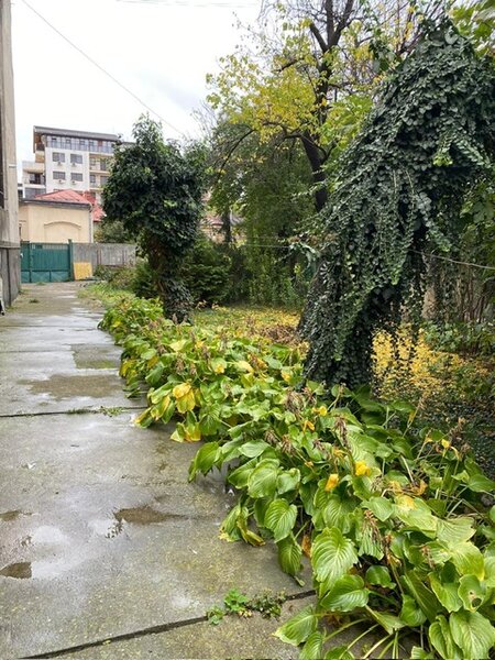 Romana, Dacia, Str Toamnei Teren superb de vanzare 483 mp pretabil duplex